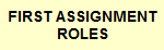 YOUR ROLES IN ASSIGNMENT ONE